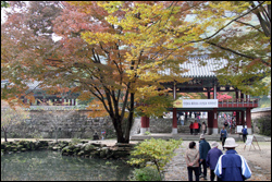 조선명주 이미지