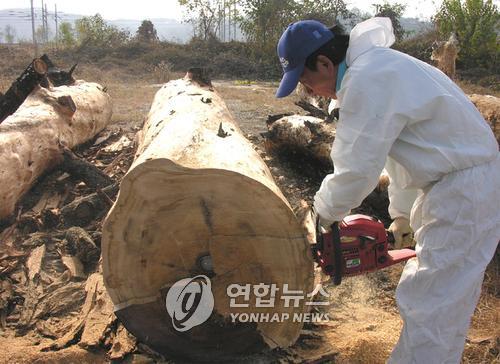 해성공방 이미지