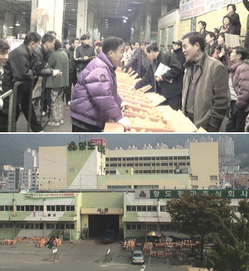 항도청과 이미지