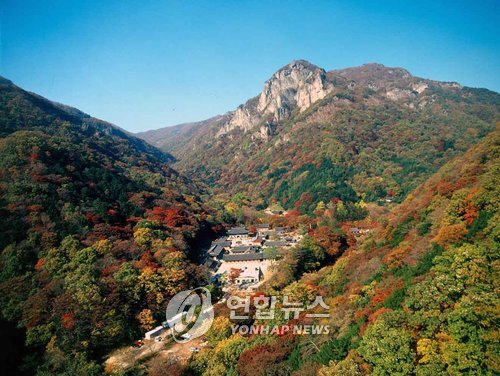 무릉 이미지