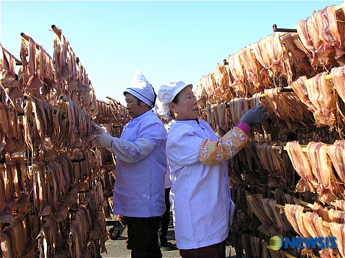 영동산골오징어(주) 이미지