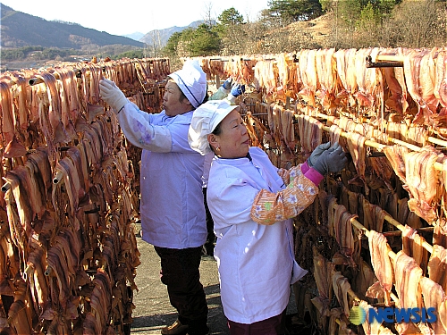영동산골오징어(주) 이미지