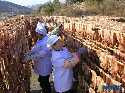 영동산골오징어(주) 이미지
