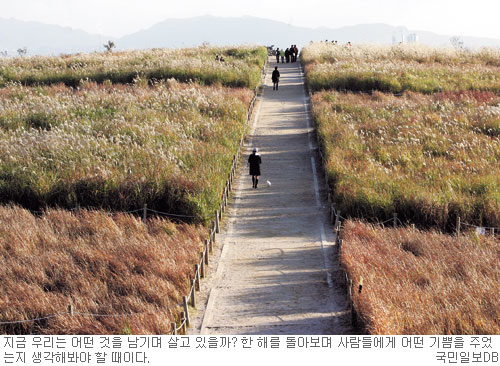 생각나무 이미지