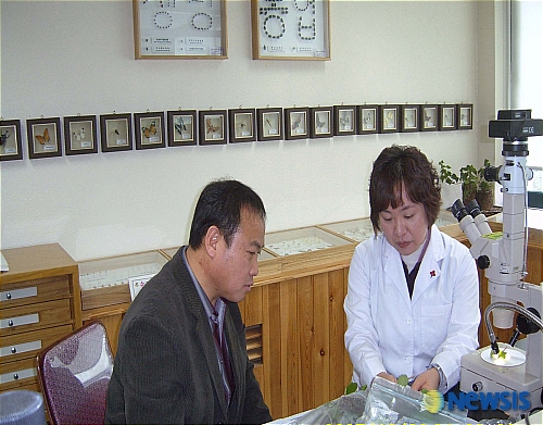 한국식물병원 이미지