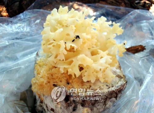 우성산업기술연구소 이미지