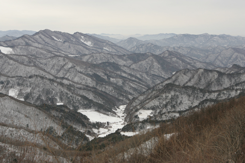 탐미 이미지
