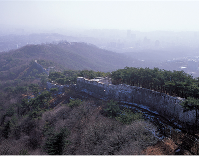 동산종묘 이미지
