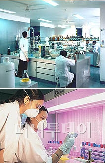 더싱 이미지