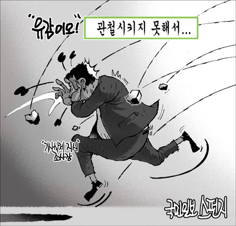 스펀지 이미지