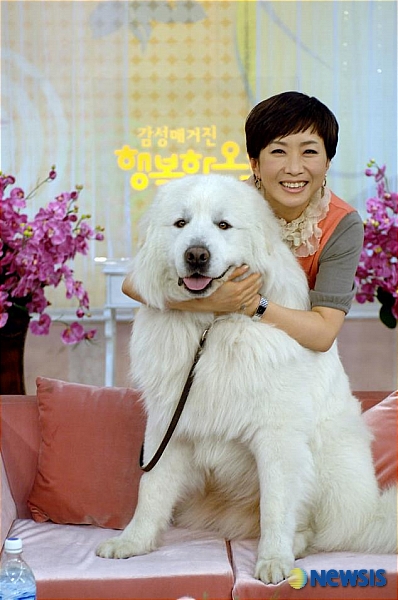 흰둥이 이미지