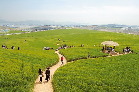 축제의땅 이미지