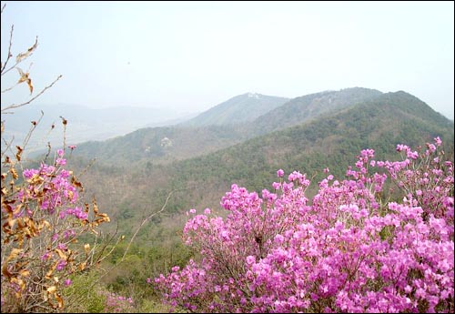 청산 이미지