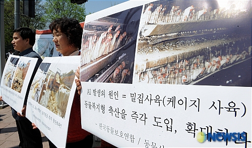 닭과 오리 이미지