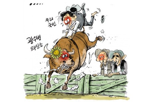 로데오 이미지