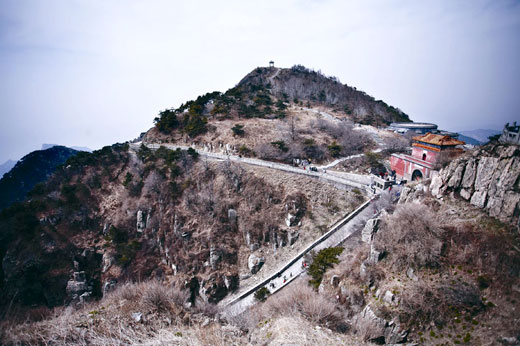 카페리밤 이미지