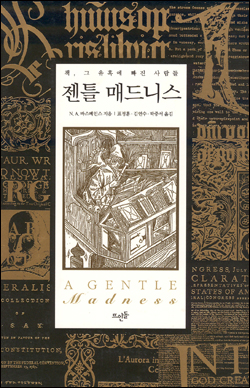 매드니스 이미지