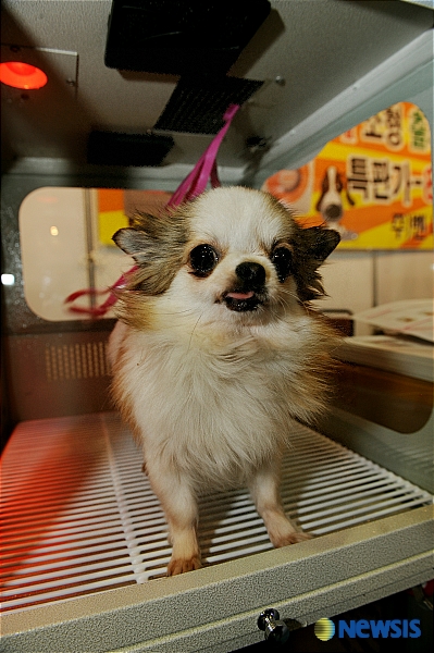 백참산업 이미지
