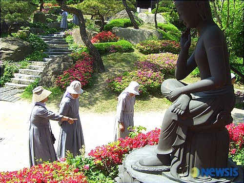 꽃동네화원 이미지