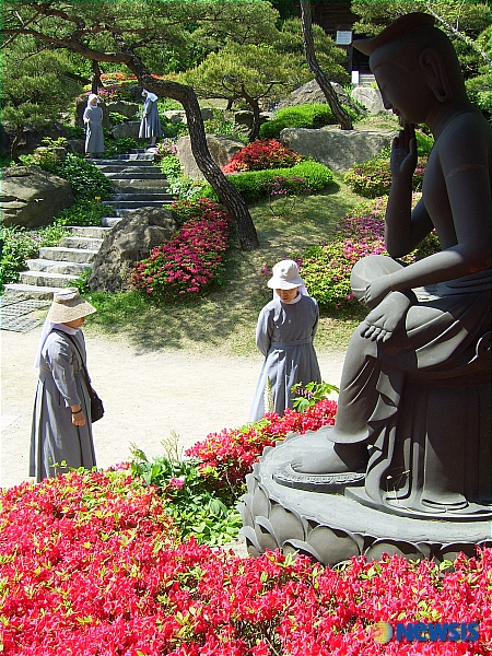 꽃동네화원 이미지