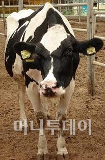 (주)이로운세상 이미지