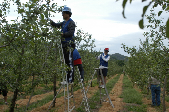 (주)우리농수축산티브이 이미지
