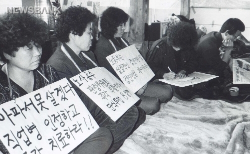 원진비닐루 이미지