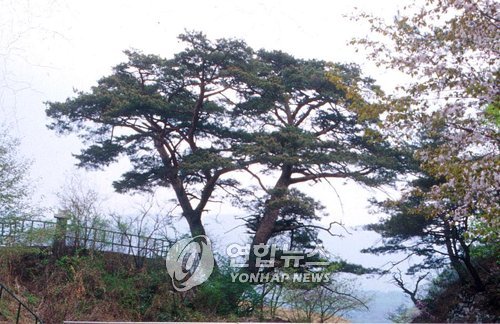에스케이텔레콤양구 이미지
