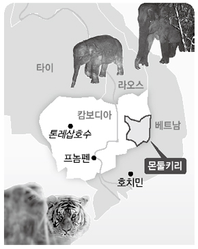 그린필드 이미지