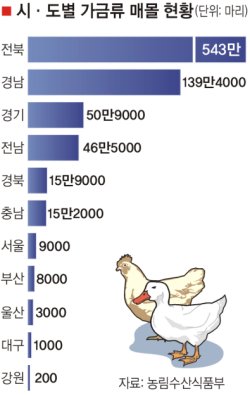 가금 이미지