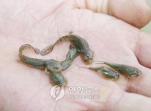 SK텔레콤산청 이미지