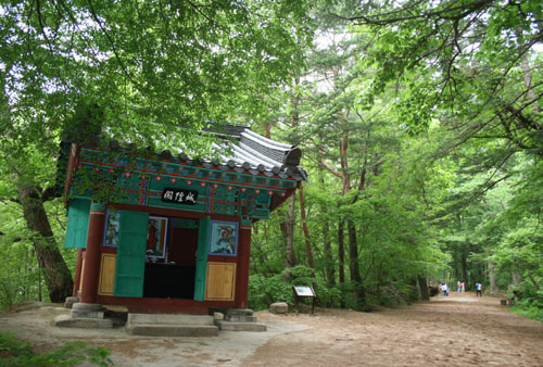 초록숲 이미지
