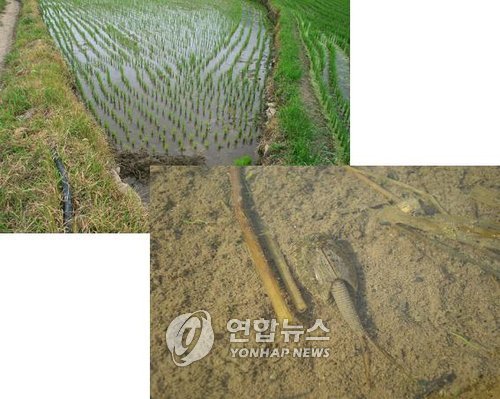 영덕SK텔레콤 이미지