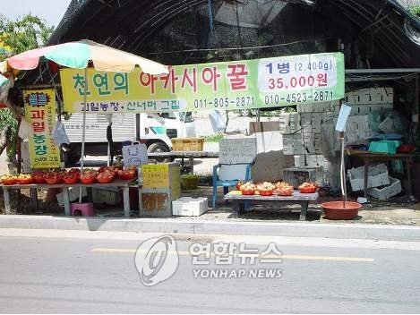 과일가게 이미지