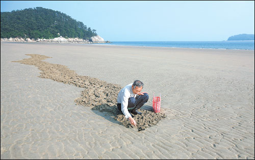 보령섬물 이미지