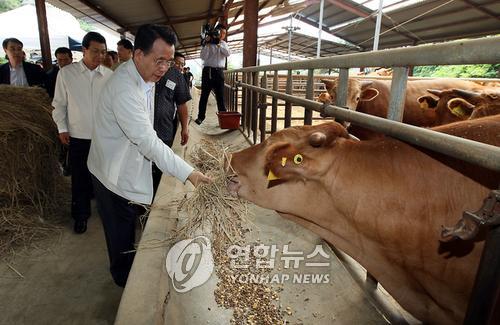 에스케이텔레콤양구 이미지