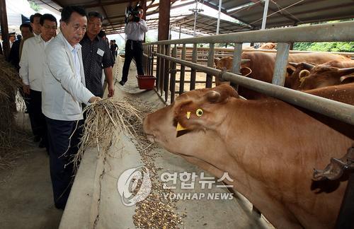 에스케이텔레콤양구 이미지