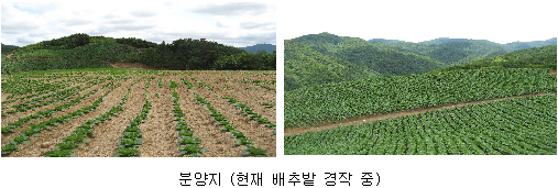 법인늘푸른농장 이미지