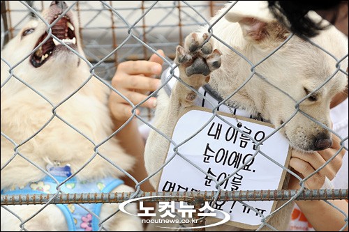 순이 이미지