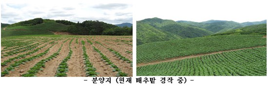 법인늘푸른농장 이미지