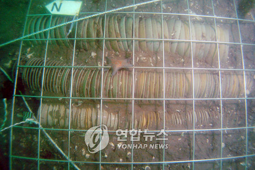 에스케이텔레콤태안 이미지