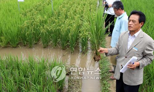 고성녹즙 이미지