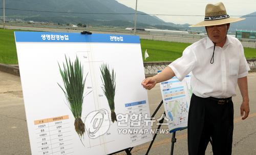 고성녹즙 이미지