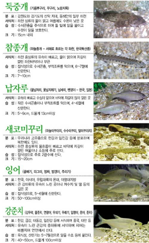 우리고기 이미지