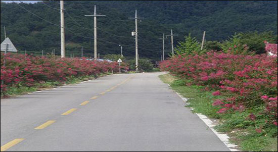 영덕정비 이미지