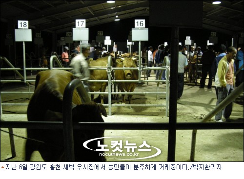 새벽농가축산 이미지