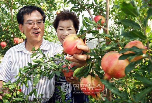씨웰빙하우스 이미지