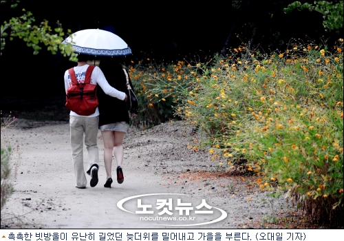 내일 더 이미지