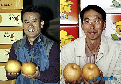 나주목사골배 이미지