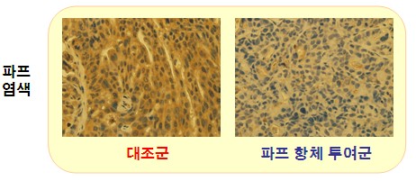 주식회사 렉스바이오 이미지